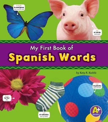 Spanish Words book