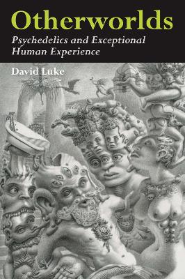 Otherworlds: Psychedelics and Exceptional Human Experience book