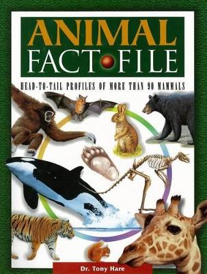 Animal Fact File by Hare
