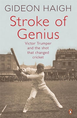 Stroke Of Genius book