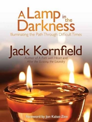 Lamp in the Darkness book