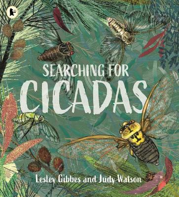 Searching for Cicadas by Lesley Gibbes