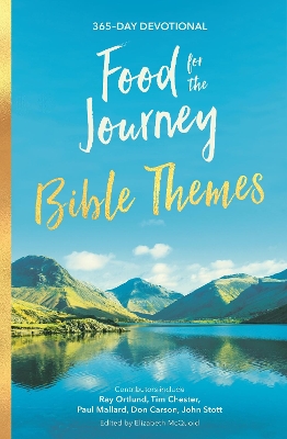 Food for the Journey Bible Themes: 365-Day Devotional book