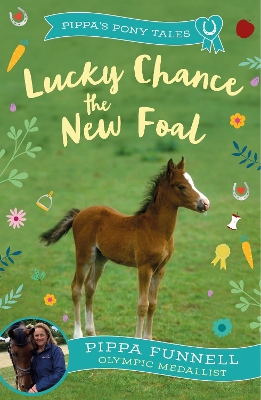 Lucky Chance the New Foal book