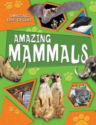 Amazing Mammals by Honor Head