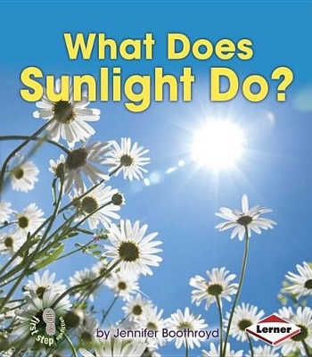 What Does Sunlight Do? book