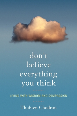 Don't Believe Everything You Think book