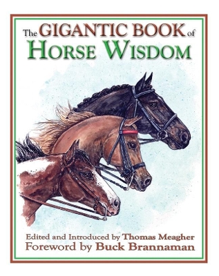 Gigantic Book of Horse Wisdom book