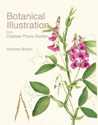 Botanical Illustration from Chelsea Physic Garden book
