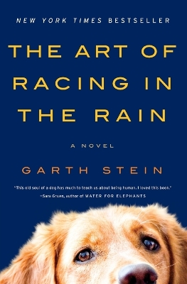 Art of Racing in the Rain by Garth Stein