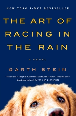 The Art of Racing in the Rain by Garth Stein