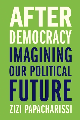 After Democracy: Imagining Our Political Future book