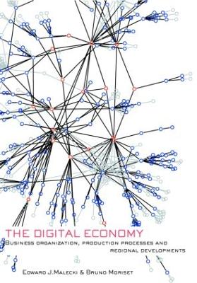 The Digital Economy by Edward J. Malecki