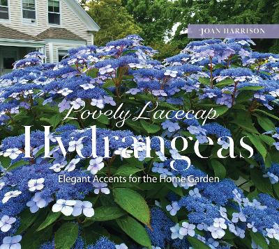 Lovely Lacecap Hydrangeas: Elegant Accents for the Home Garden by Joan Harrison