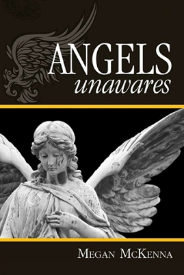 Angels Unawares book