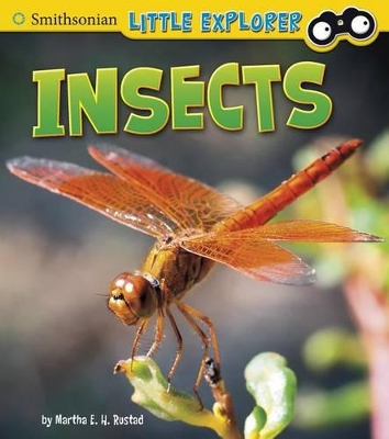 Insects by ,Martha,E.,H. Rustad