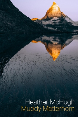 Muddy Matterhorn book