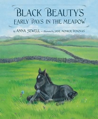 Black Beauty's Early Days in the Meadow book