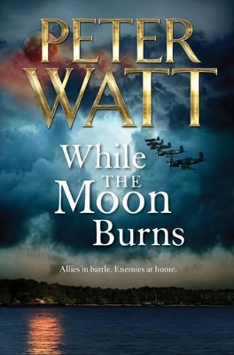 While the Moon Burns by Peter Watt