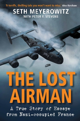 Lost Airman by Seth Meyerowitz