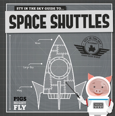 Space Shuttles by Kirsty Holmes