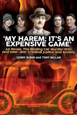 My Harem: It's An Expensive Game book