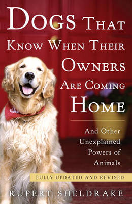 Dogs That Know When Their Owners Are Coming Home book