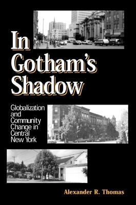 In Gotham's Shadow book