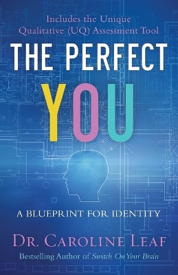 The Perfect You – A Blueprint for Identity book