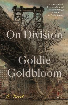 On Division: A Novel book