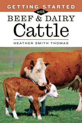 Getting Started with Beef and Dairy Cattle by Heather Smith Thomas