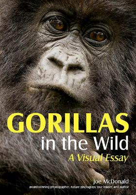 Gorillas in the Wild: A Visual Essay book
