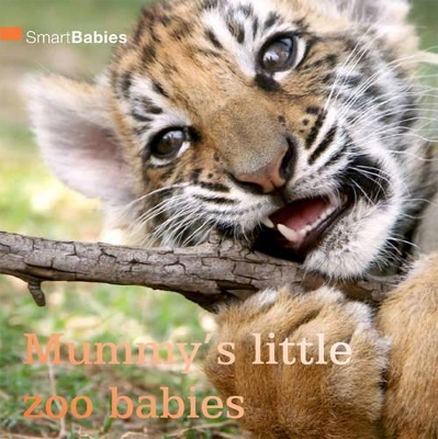 Smart Babies: Mummy's Little Zoo Babies book