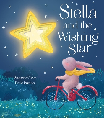 Stella and the Wishing Star book
