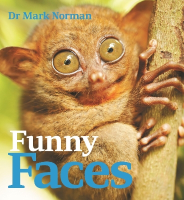 Funny Faces book