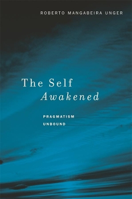 Self Awakened book