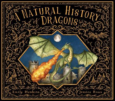 A Natural History of Dragons book