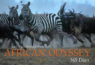 African Odyssey 365 Days book