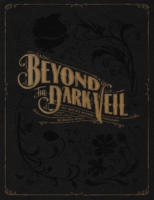 Beyond The Dark Veil book