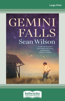 Gemini Falls book