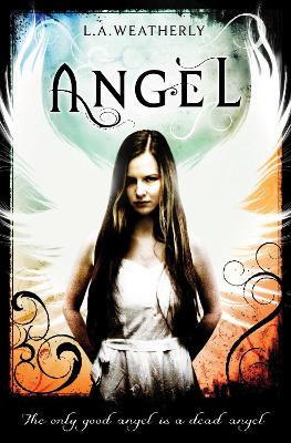 Angel book