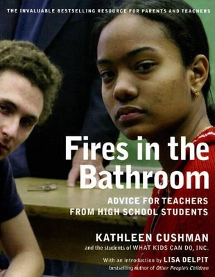 Fires In The Bathroom book