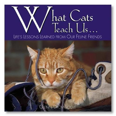What Cats Teach Us... book