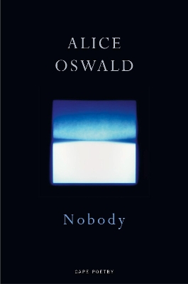 Nobody book
