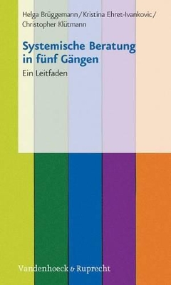 Systemische Beratung in Funf Gangen: Ein Leitfaden book
