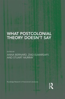 What Postcolonial Theory Doesn't Say book