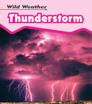 Thunderstorm by Catherine Chambers