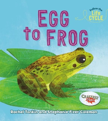 Egg to Frog by Rachel Tonkin