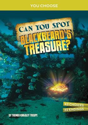 Can You Spot Blackbeard's Treasure: An Interactive Treasure Adventure by Thomas Kingsley Troupe