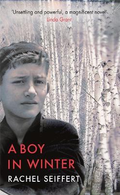 Boy in Winter book